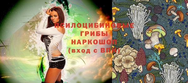 Альфа ПВП Карталы