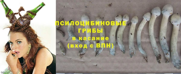 бошки Касимов