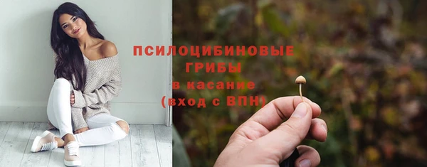 Альфа ПВП Карталы