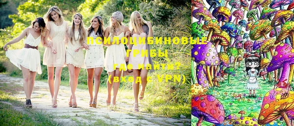 Альфа ПВП Карталы