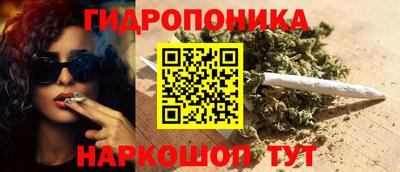 прущие грибы Славянск-на-Кубани