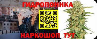 ешки Славгород