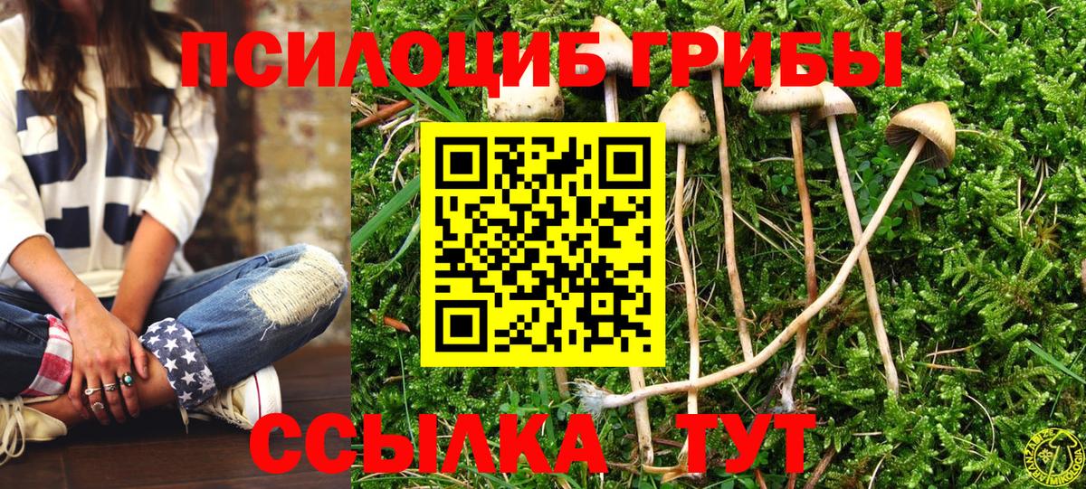Иркутск  Псилоцибиновые грибы Cubensis  Вход с VPN 